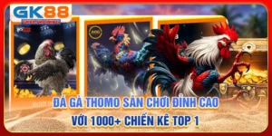 Đá gà thomo - Sân chơi đỉnh cao với 1000+ chiến kê top 1
