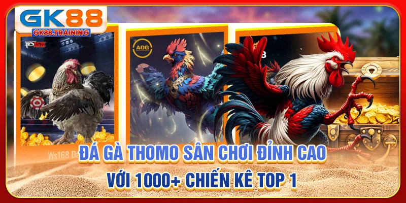 Đá gà thomo - Sân chơi đỉnh cao với 1000+ chiến kê top 1