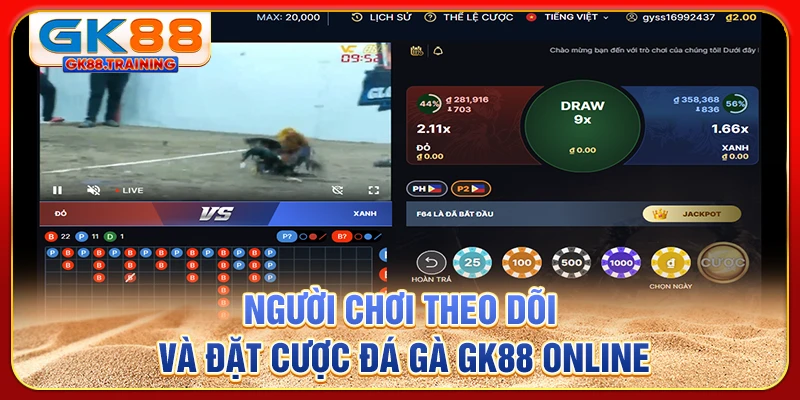 Người chơi theo dõi và đặt cược đá gà GK88 online