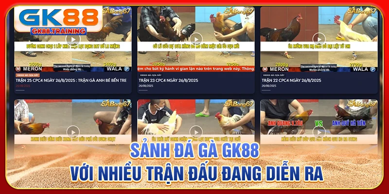 Sảnh đá gà GK88 với nhiều trận đấu đang diễn ra