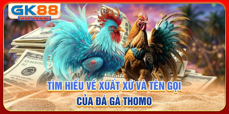 Tìm hiểu về xuất xứ và tên gọi của đá gà THOMO